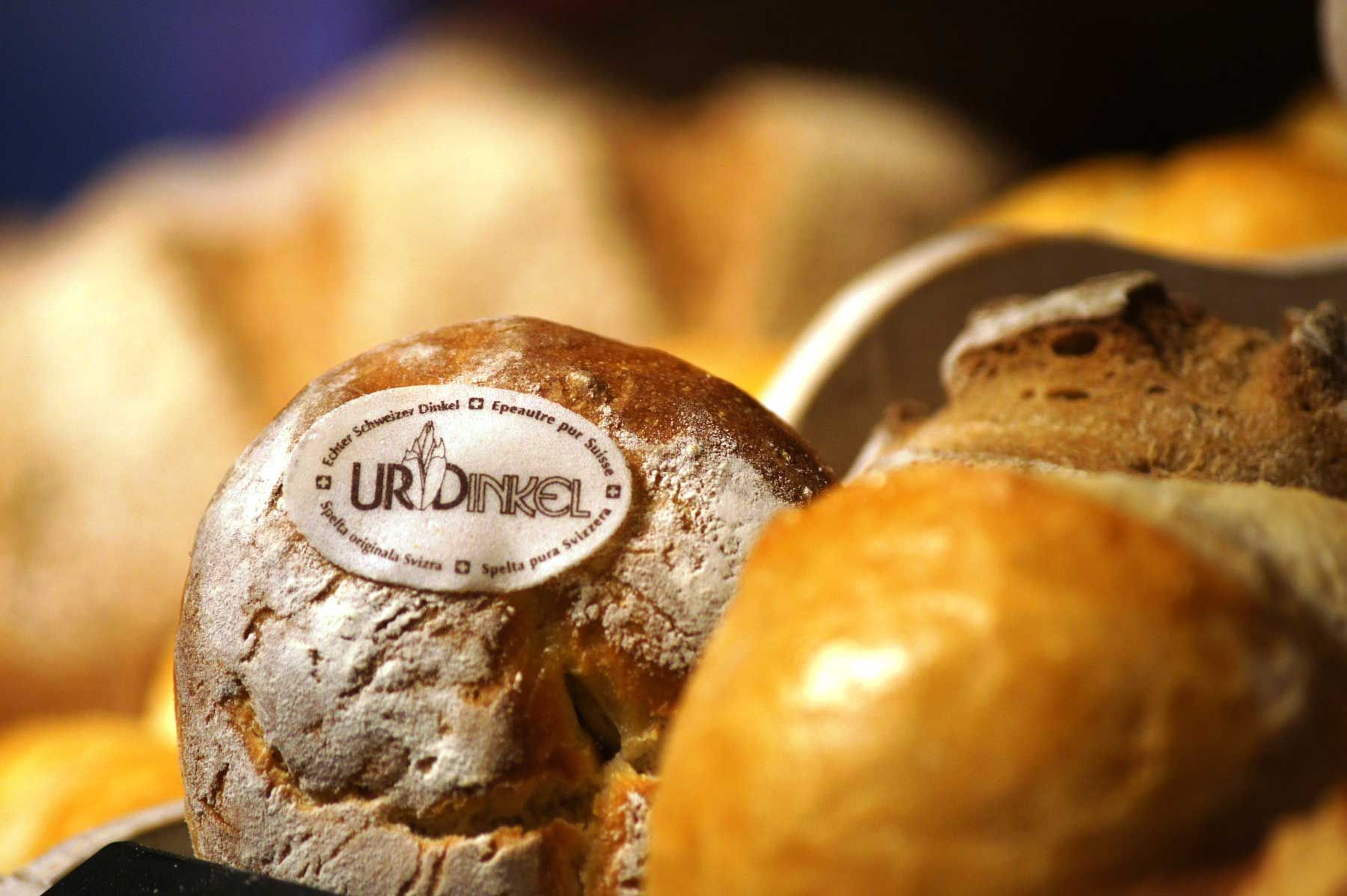 brot_1.jpg